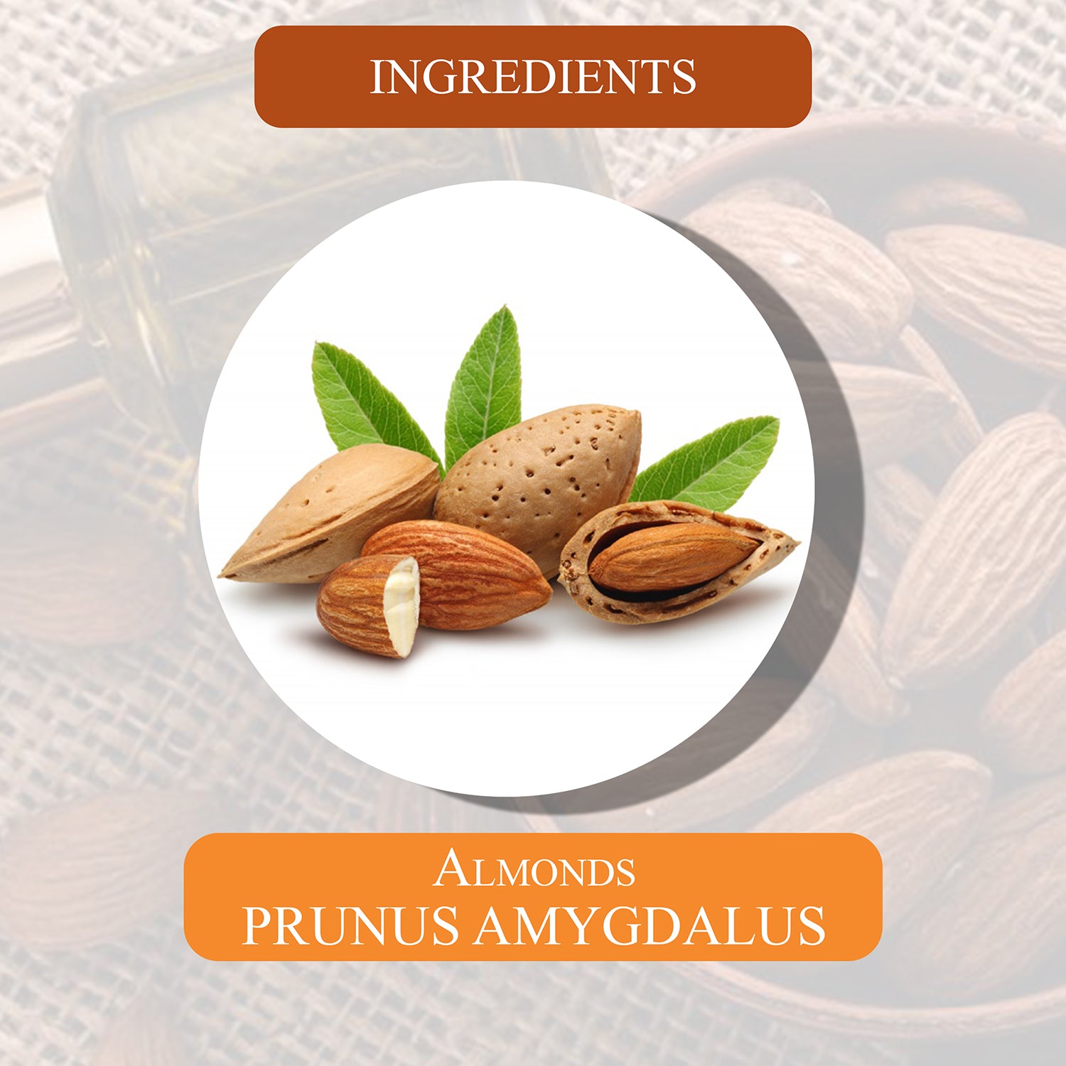 Ingredients Of Almond Massage Oil