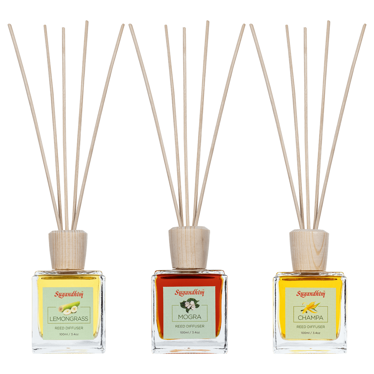 Reed Diffuser - Lemongrass, Mogra & Champa fragrances - 100mlX3 & 5 St