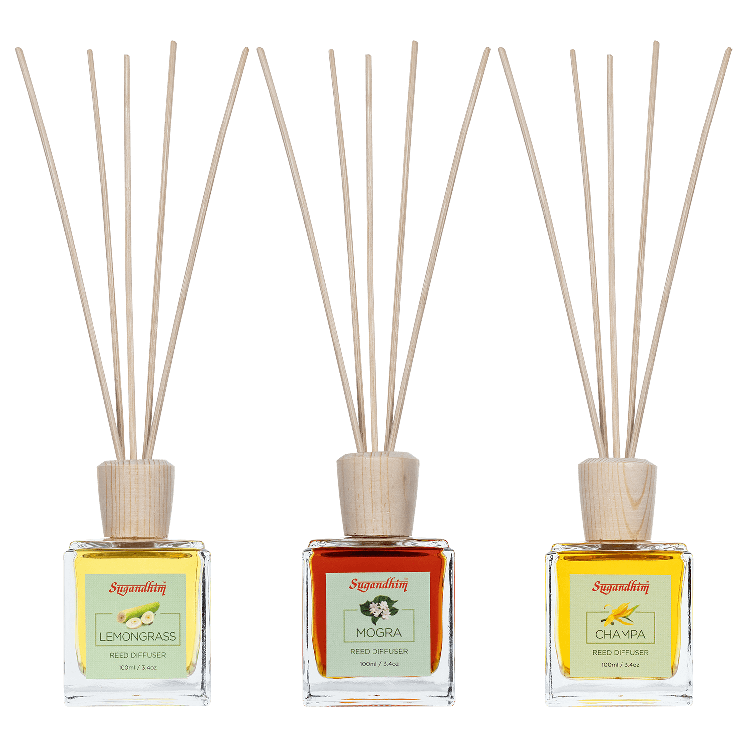 Reed Diffuser - Lemongrass, Mogra & Champa fragrances - 100mlX3 & 5 Sticks in each